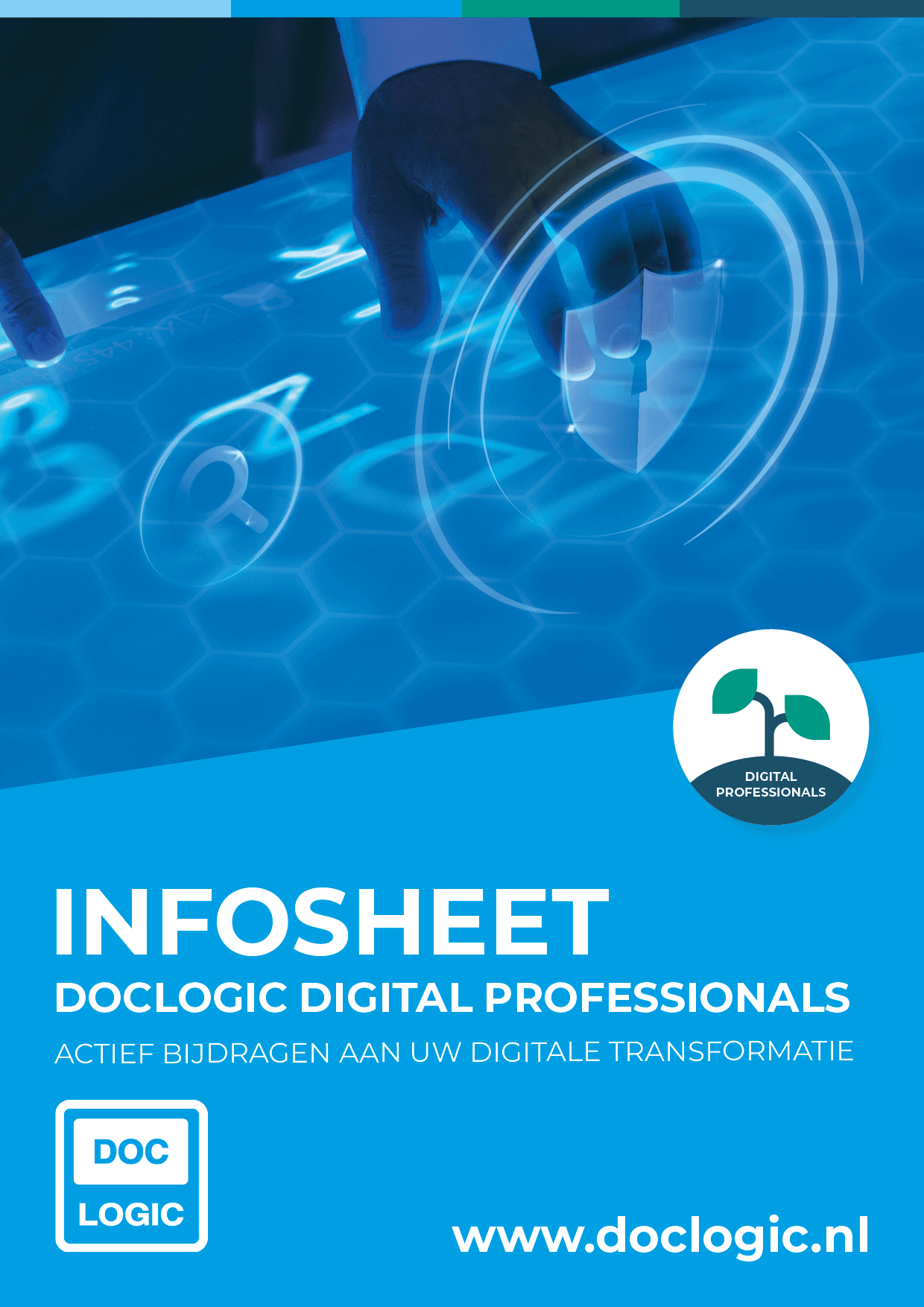 Infosheet Digital Professionals